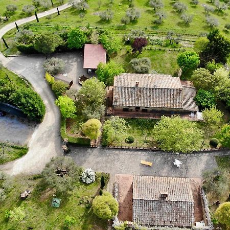 Agriturismo Panorama Sul Lago Passignano sul Trasimeno Exterior foto