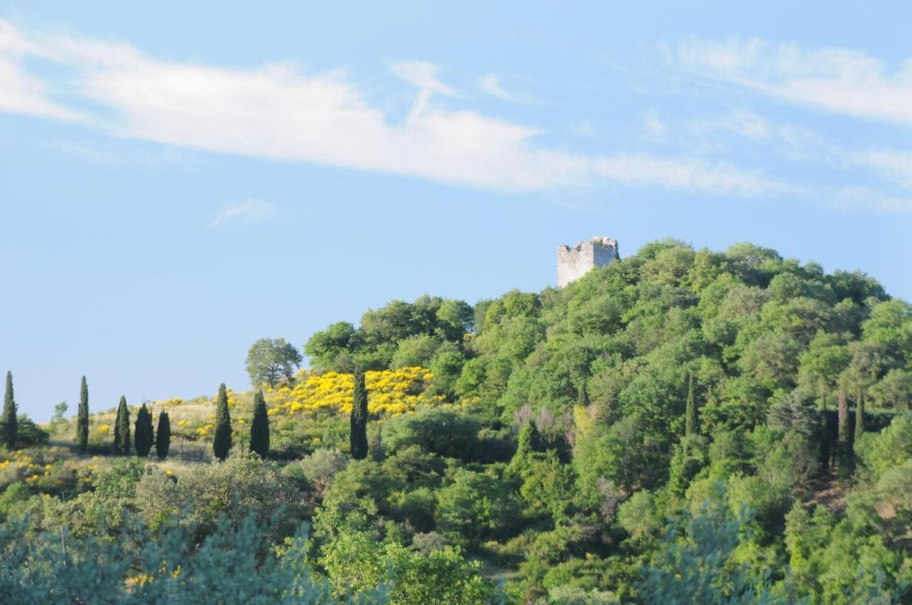 Agriturismo Panorama Sul Lago Passignano sul Trasimeno Exterior foto
