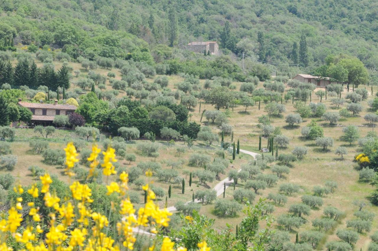 Agriturismo Panorama Sul Lago Passignano sul Trasimeno Exterior foto