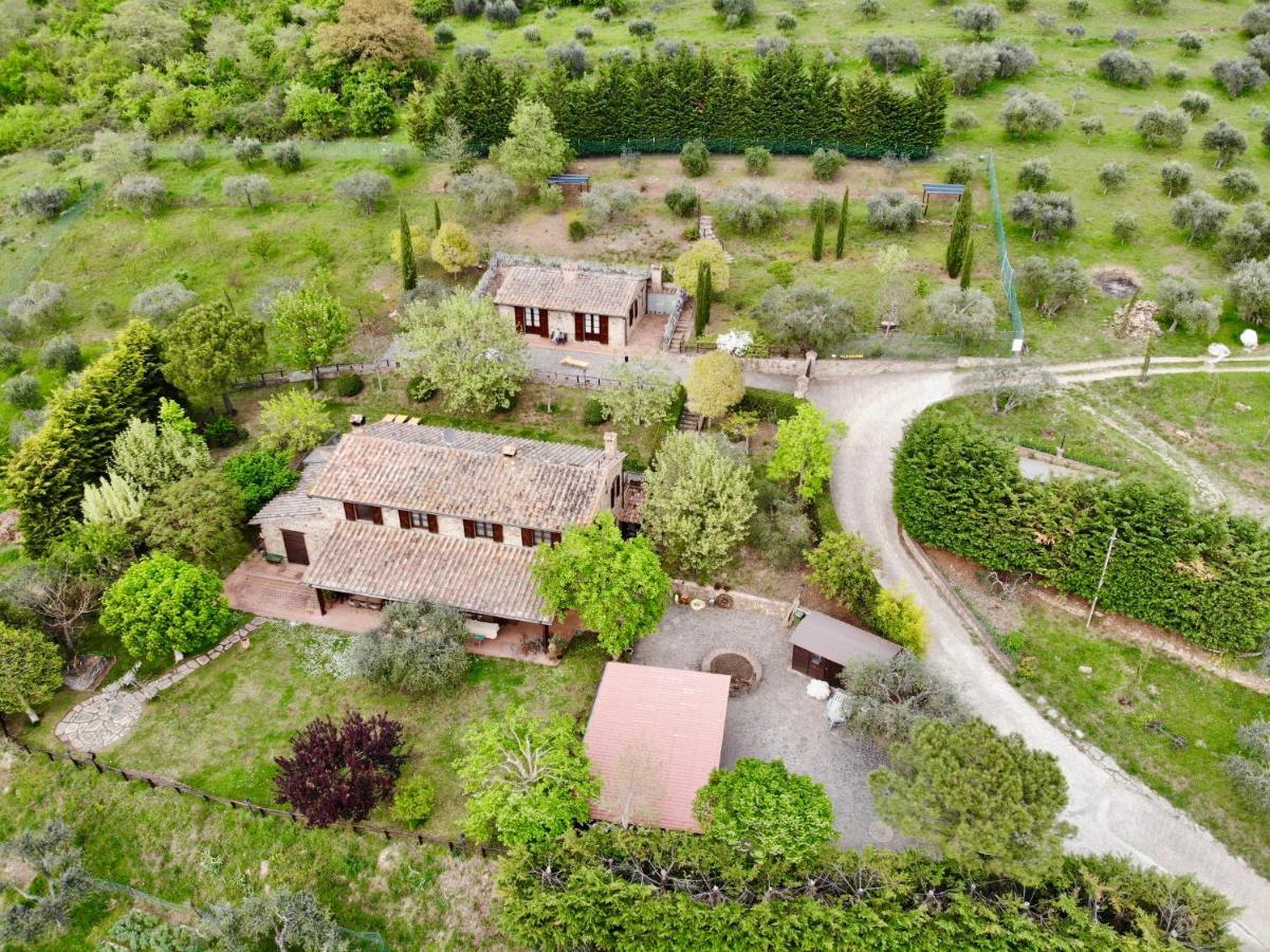 Agriturismo Panorama Sul Lago Passignano sul Trasimeno Exterior foto